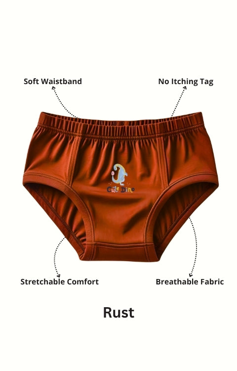 Pure Cotton Underwear Briefs Combo Pack Of 4