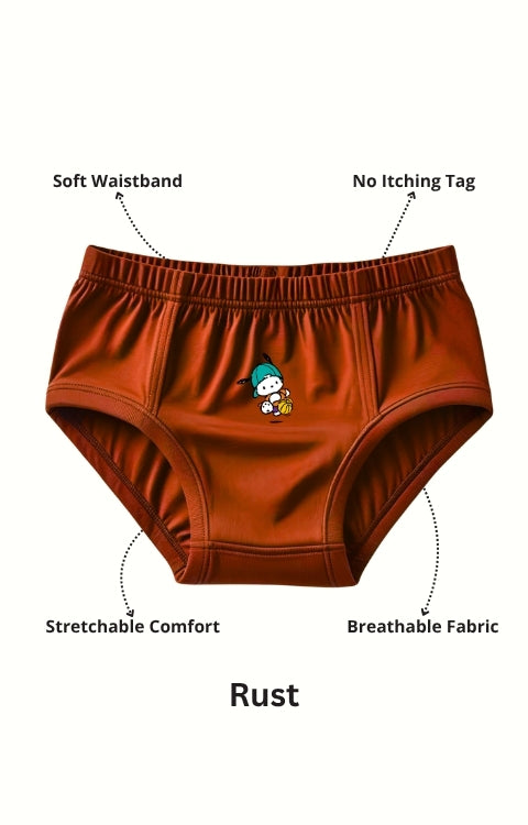 Pure Cotton Underwear Briefs Combo Pack Of 4