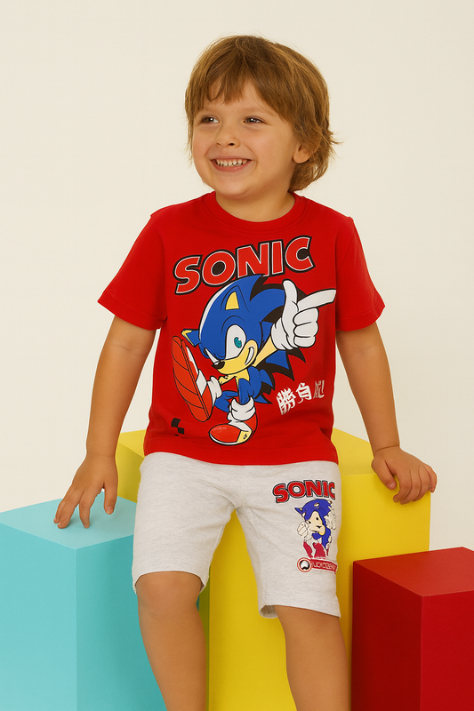 Kids Casual Wear T-Shirt & Shorts Set
