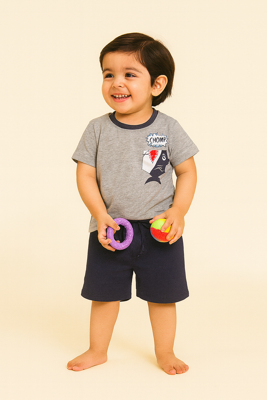 Boys T-shirt Gray and Navy Set