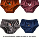 Pure Cotton Underwear Briefs Combo Pack Of 4