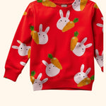 Trendy Boys/Girls Sweatshirt Track