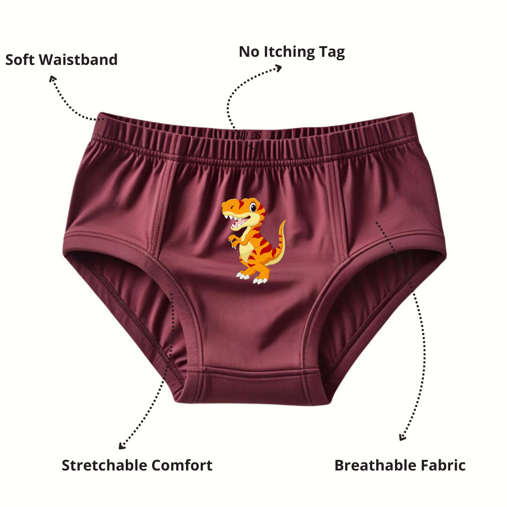 Pure Cotton Underwear Briefs Combo Pack Of 4