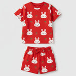 Little Champ Graphic Tee & Shorts