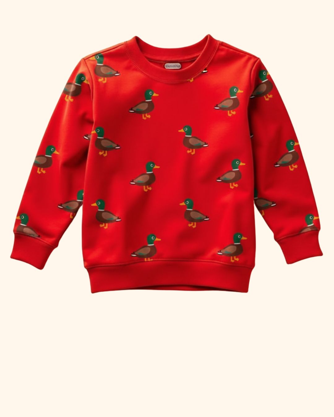 Sweatshirt And Jogger Set For Kids