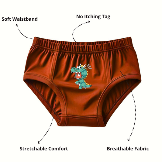 Pure Cotton Underwear Briefs Combo Pack Of 4