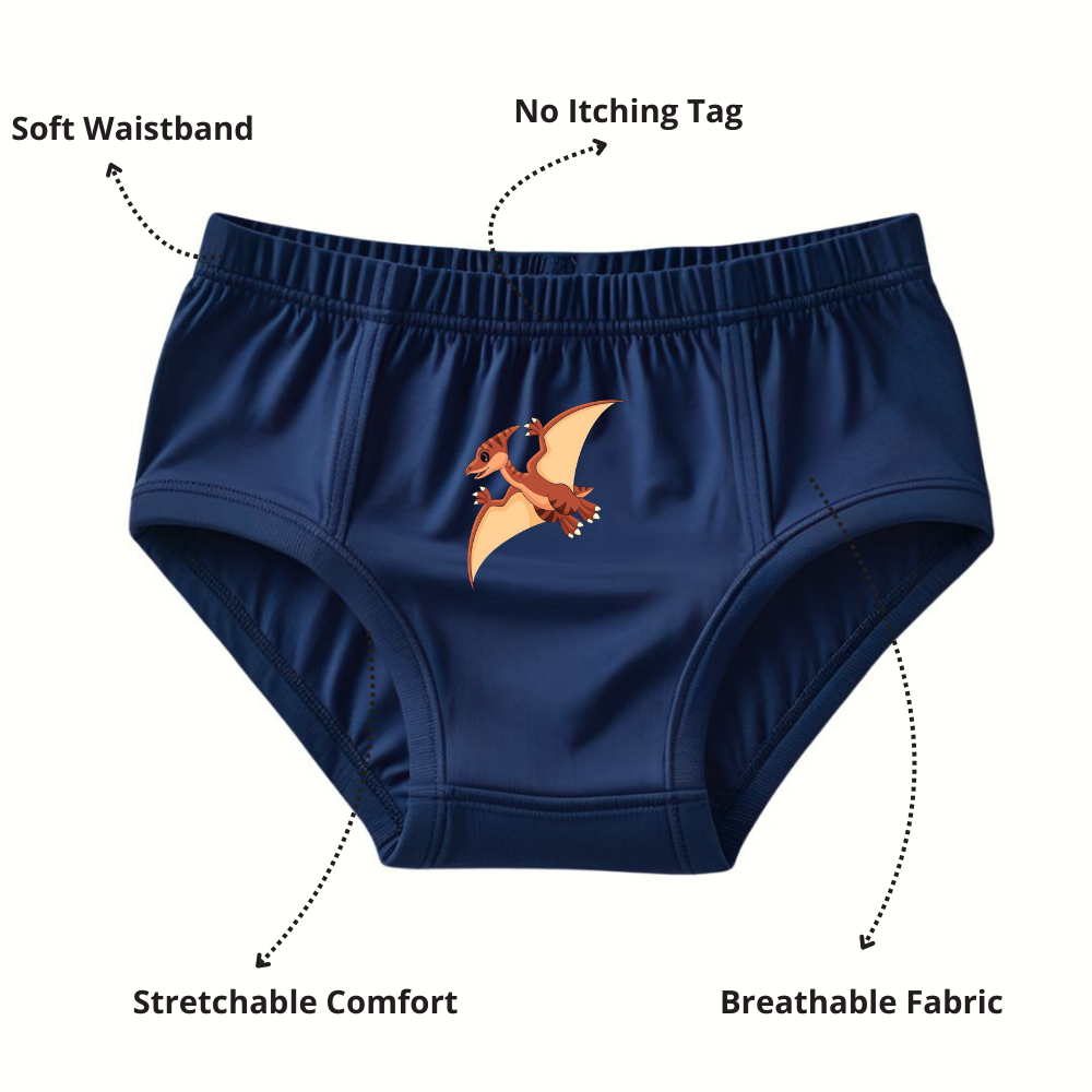 Pure Cotton Underwear Briefs Combo Pack Of 4