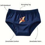 Pure Cotton Underwear Briefs Combo Pack Of 4