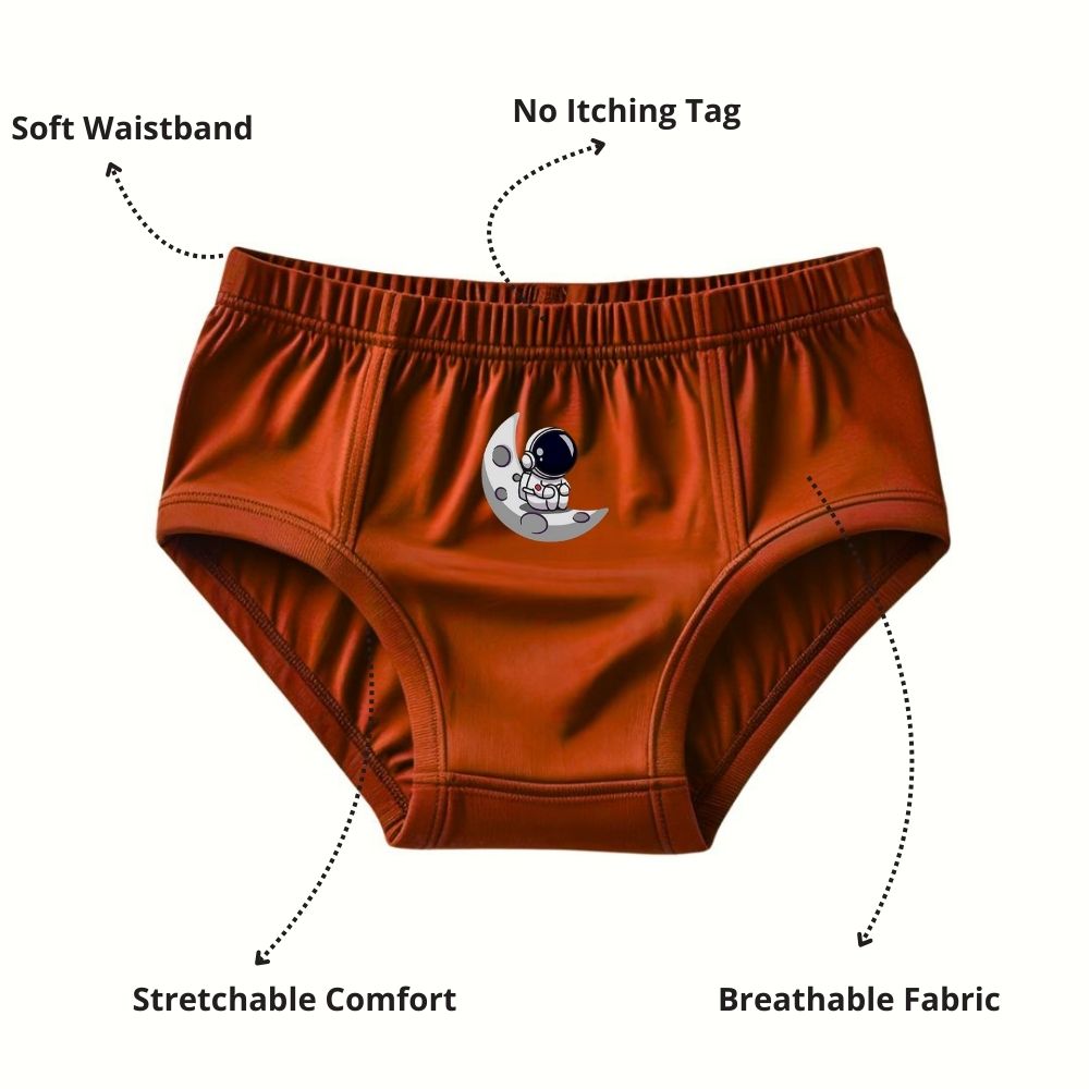 Pure Cotton Underwear Briefs Combo Pack Of 4