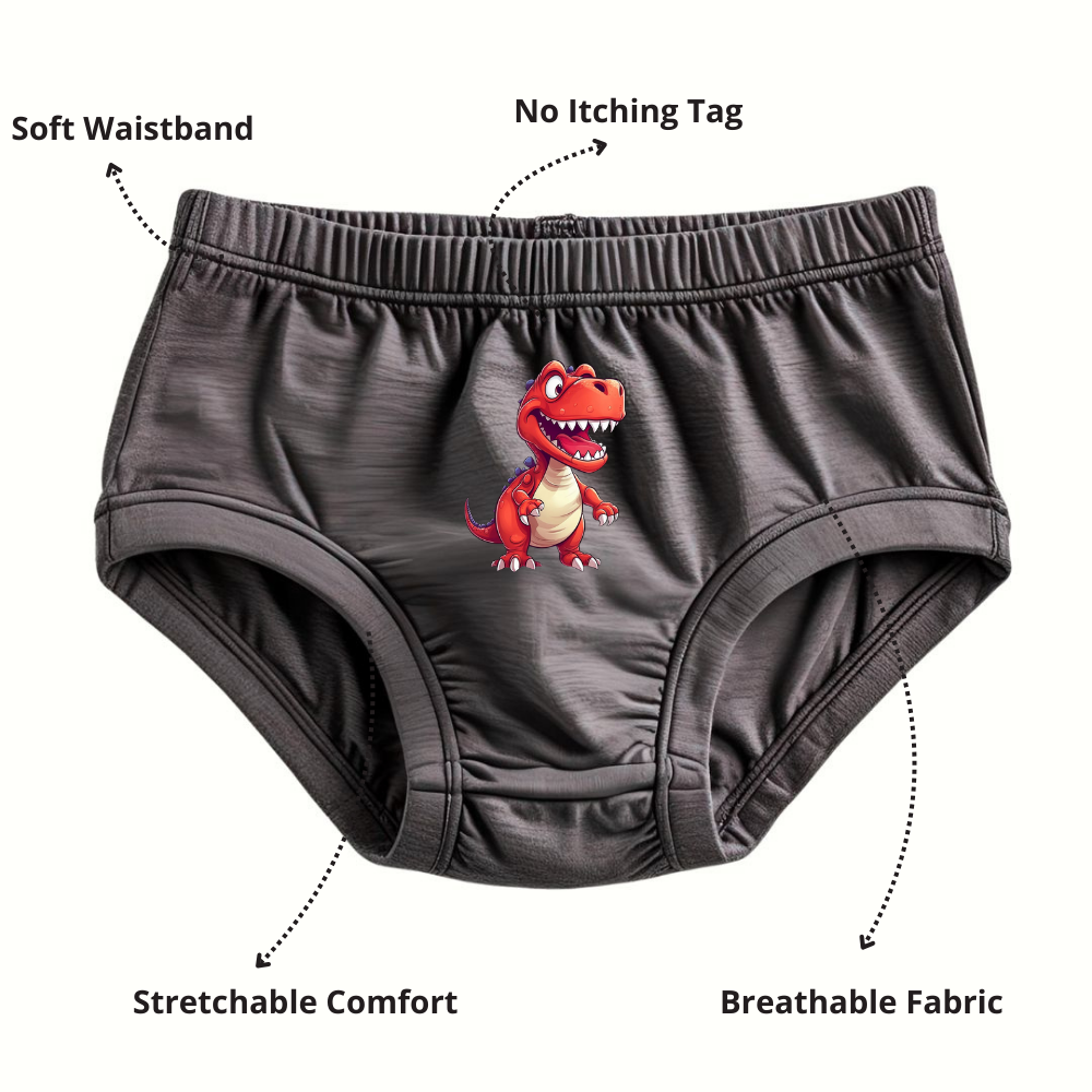 Pure Cotton Underwear Briefs Combo Pack Of 4