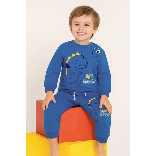 Everyday Comfort: Sweatshirt with Joggers