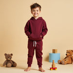 Stylish Hoodie & Jogger Pant Maroon Set