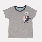 Boys T-shirt Gray and Navy Set