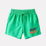 Cotton Regular Fit Casual Shorts (Green Color)