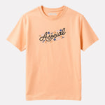 Regular Fit Peach color Cotton T-Shirt