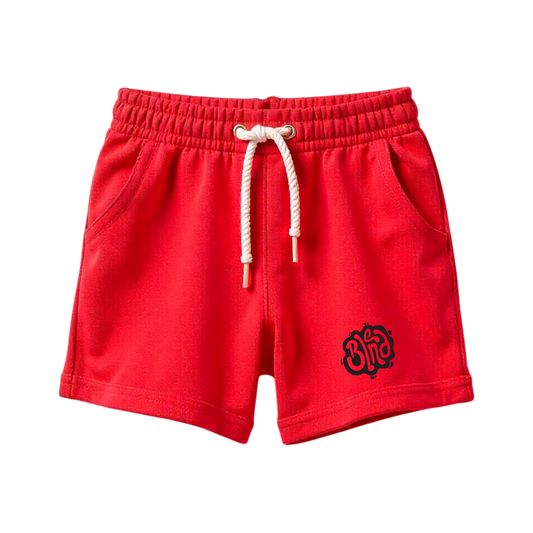 Boy Regular Fit Cotton Shorts - Pack of 2