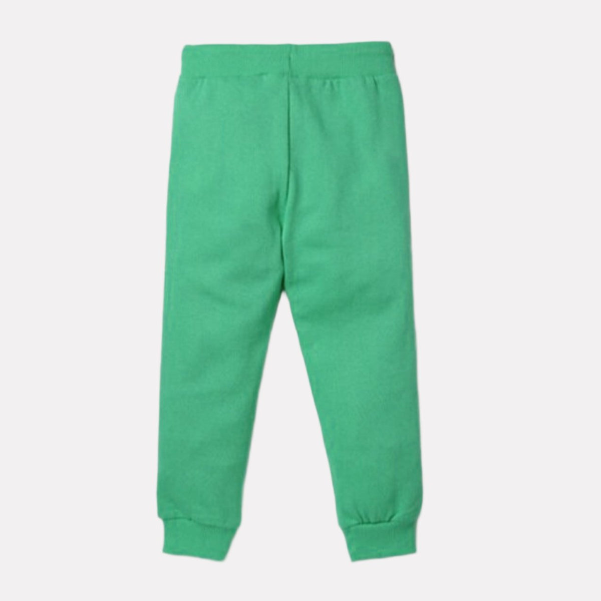 Printed Joggers Green Color