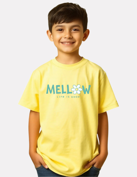 Boys Printed Oversized Cotton T-Shirt